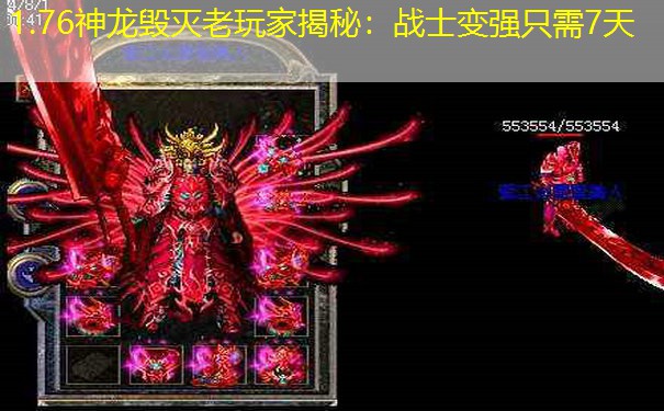 1.76神龙毁灭老玩家揭秘：战士变强只需7天