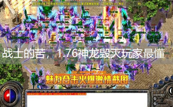 战士的苦，1.76神龙毁灭玩家最懂
