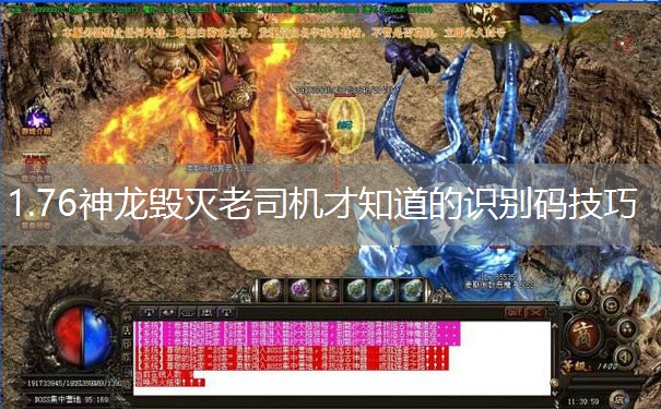 1.76神龙毁灭老司机才知道的识别码技巧
